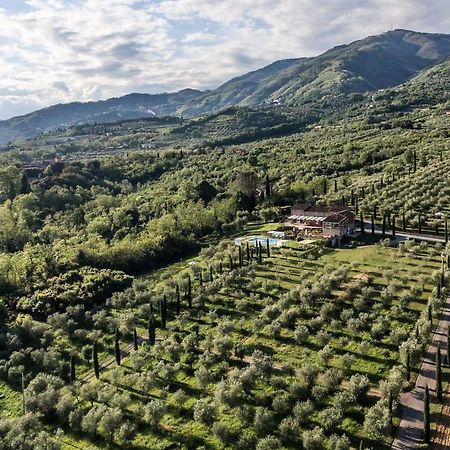 Ampio Appartamento Completamente Rinnovato Con Vista E Piscina Lucca Buitenkant foto