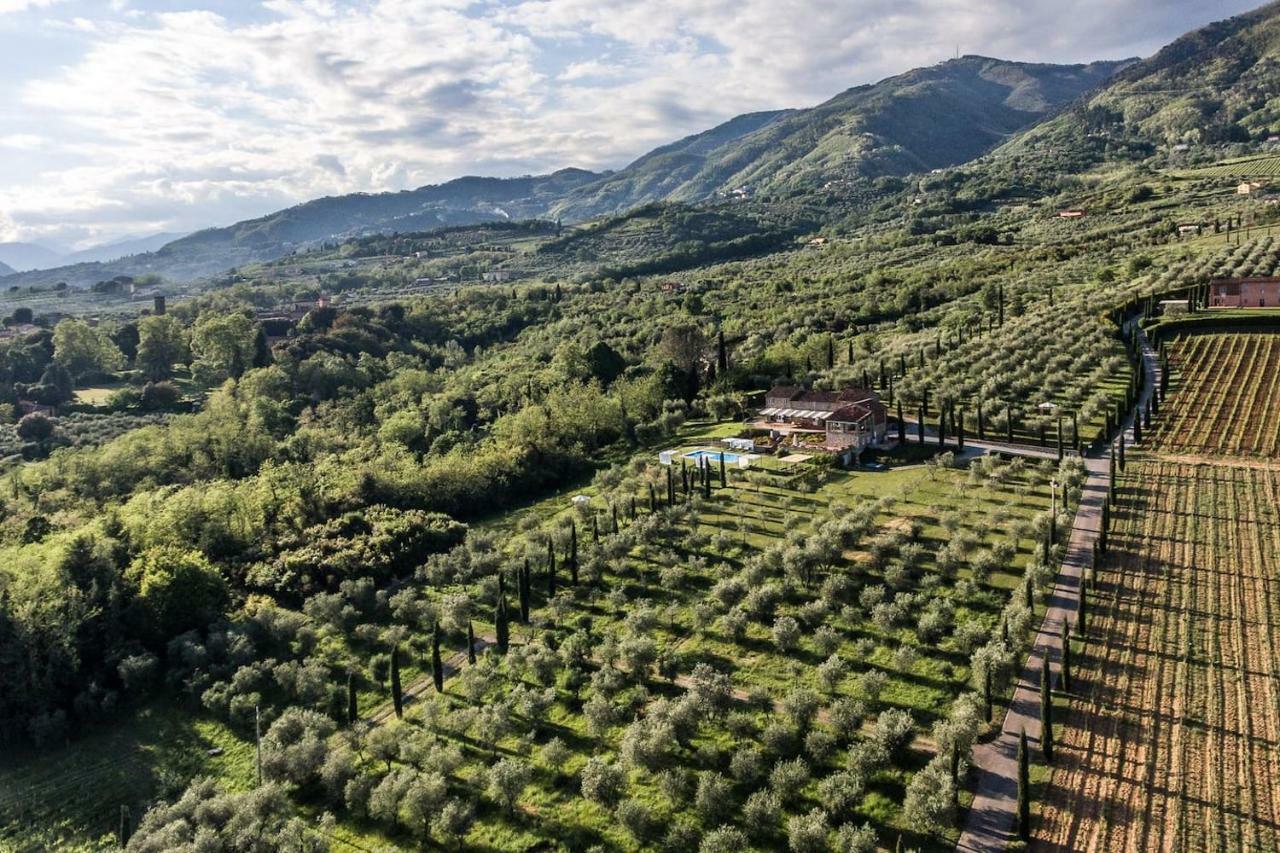 Ampio Appartamento Completamente Rinnovato Con Vista E Piscina Lucca Buitenkant foto